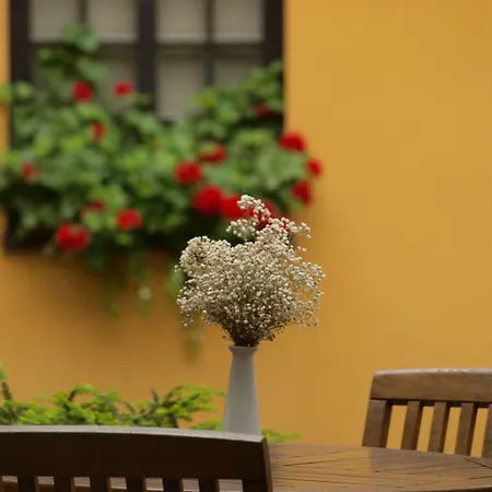 Euterpe Hotel 4*