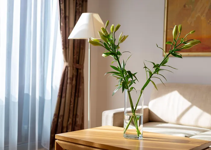 Euterpe Κλαϊπέντα